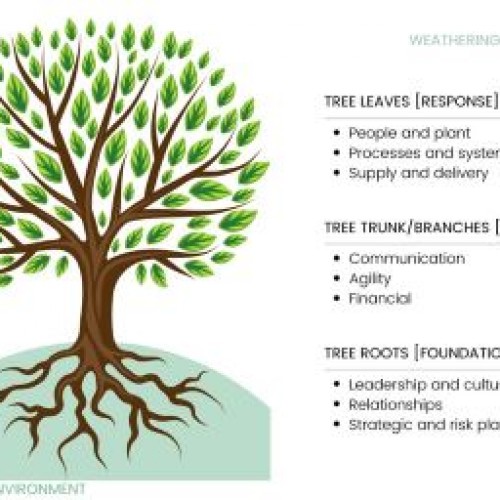 tree3