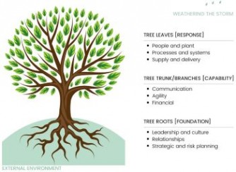 tree3